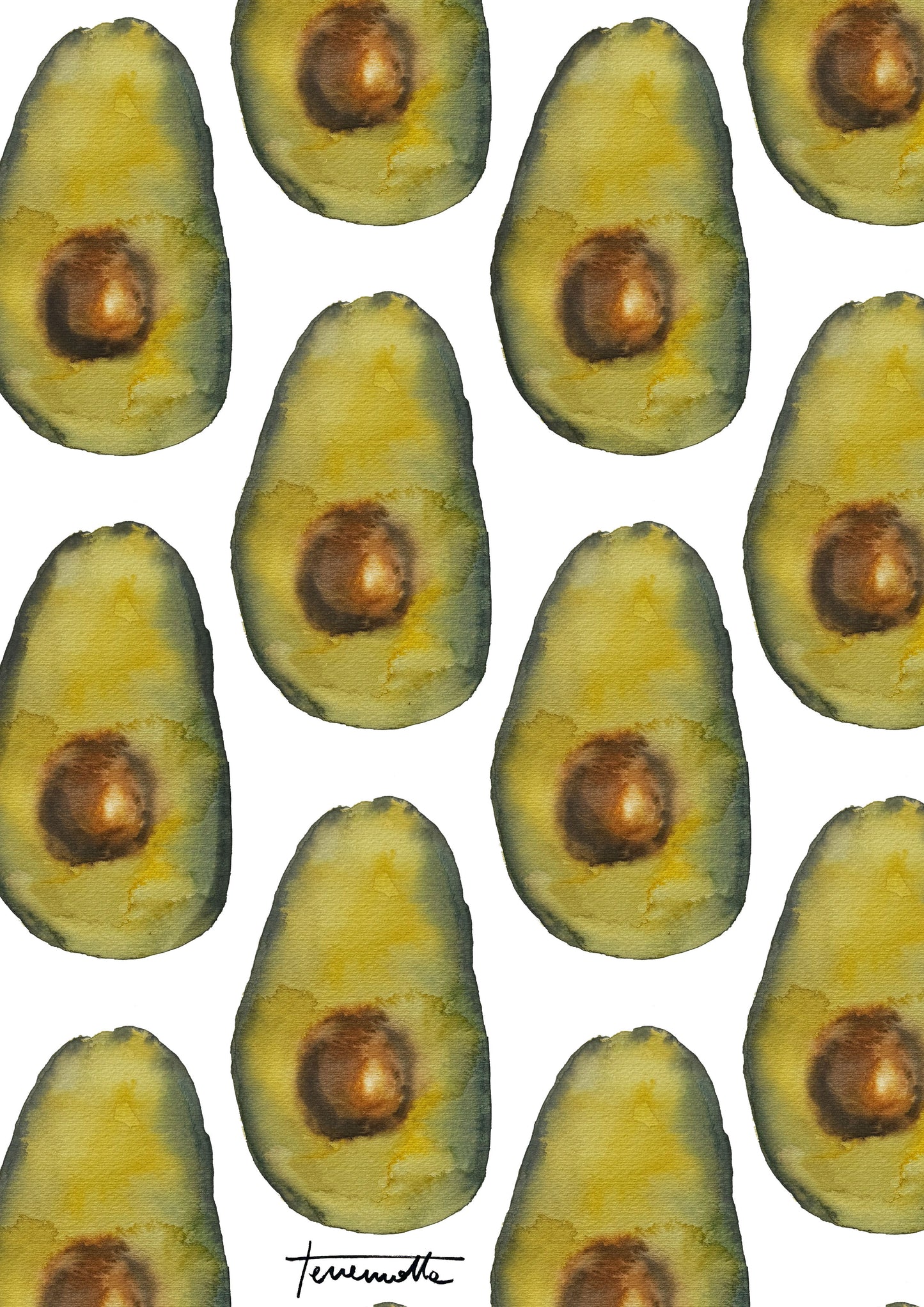 Lámina de Aguacates Grandes