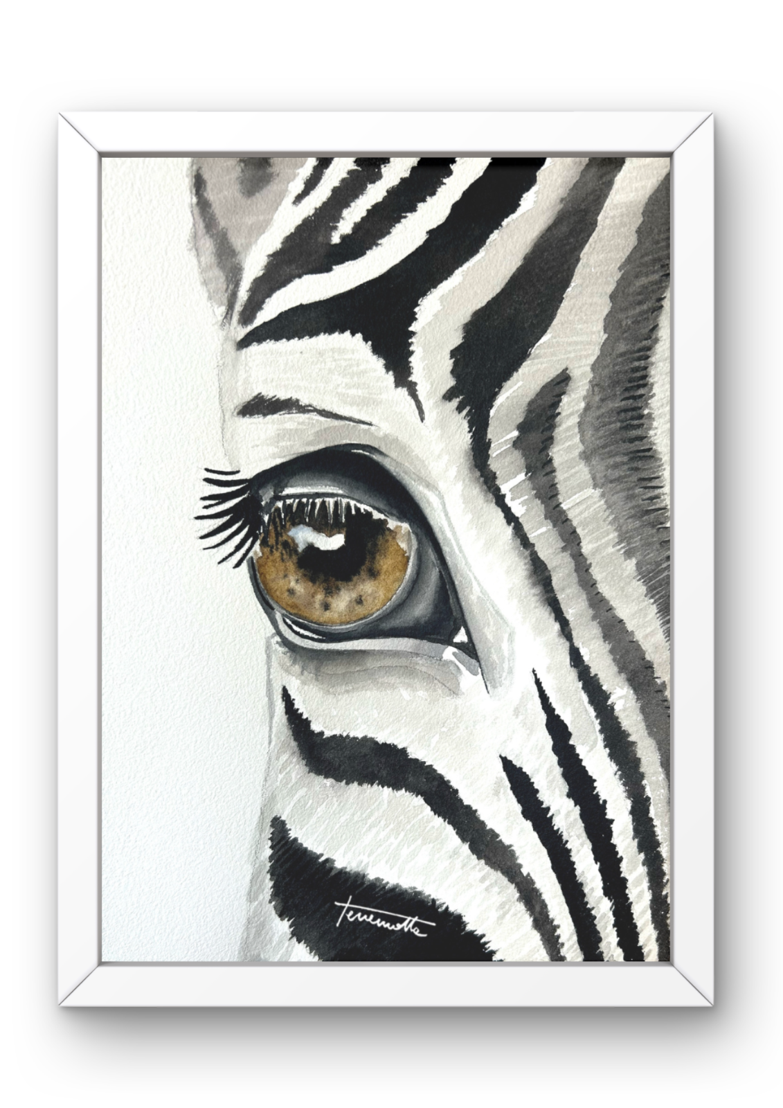 Lámina Mirada de Cebra