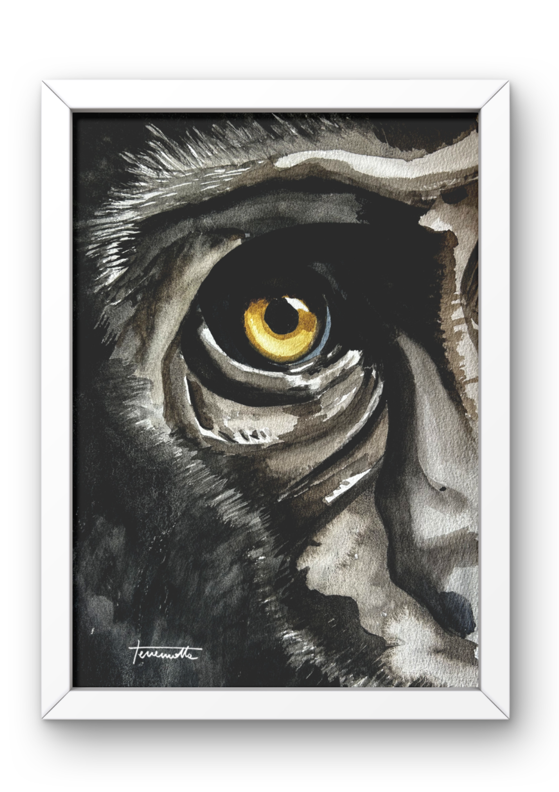 Lámina Mirada de Gorila