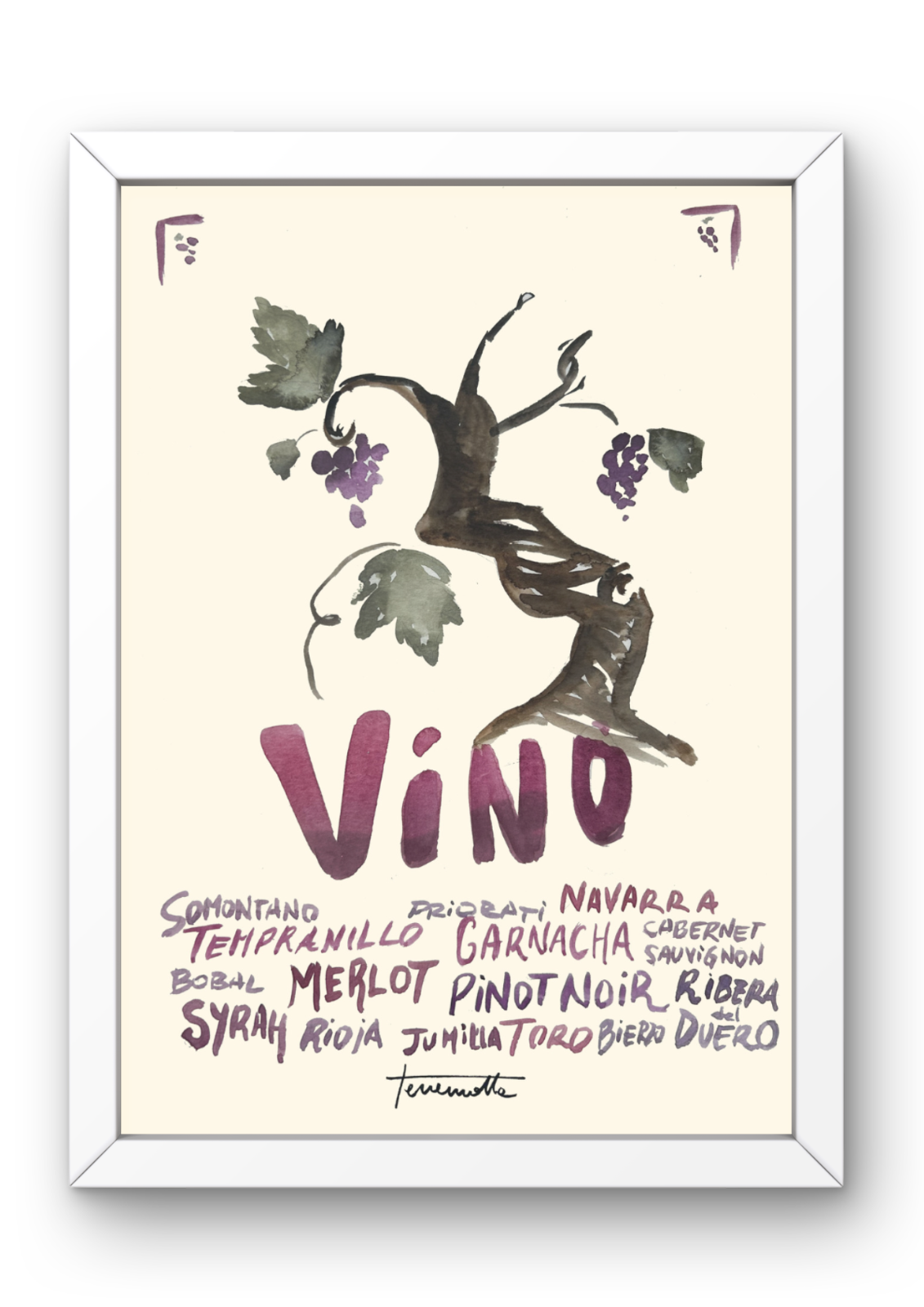 Lámina Cepa de Vino