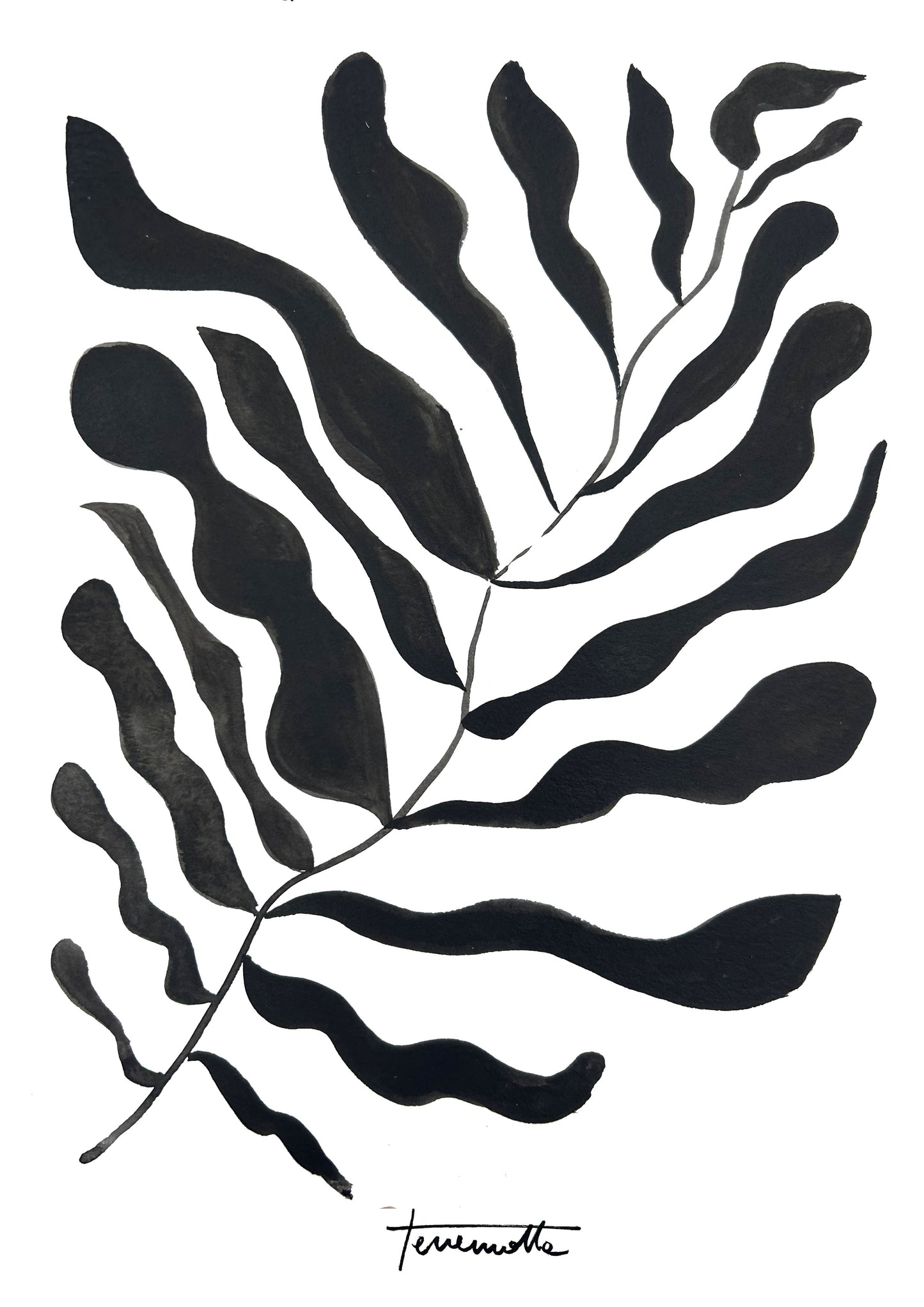 Lámina de Hoja