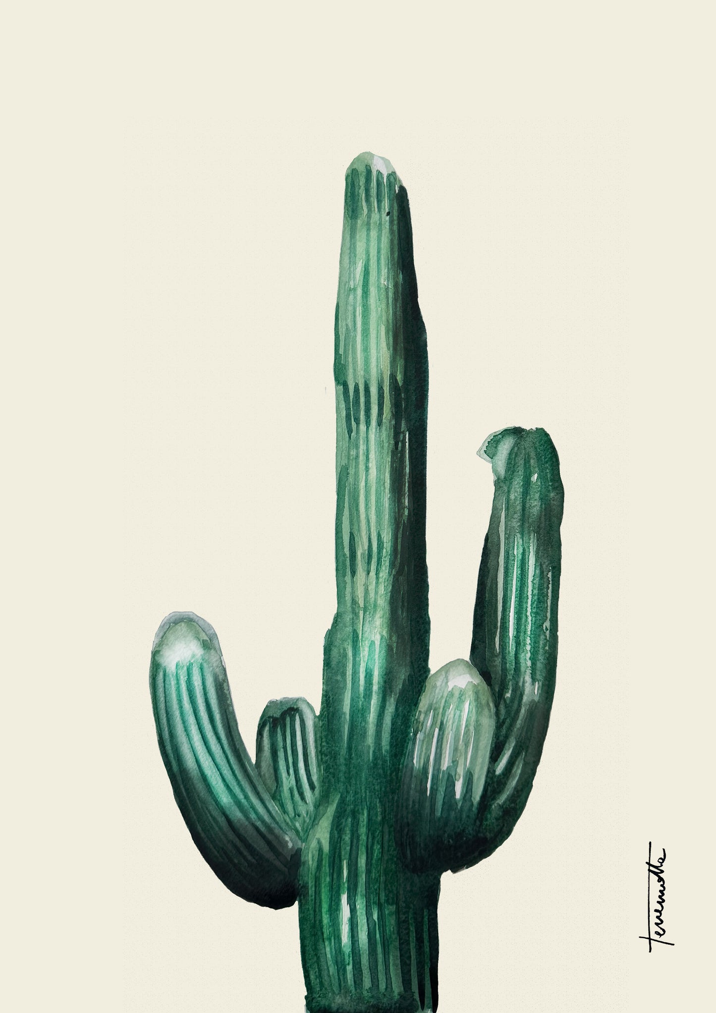 Pack de 3 Láminas de Cactus