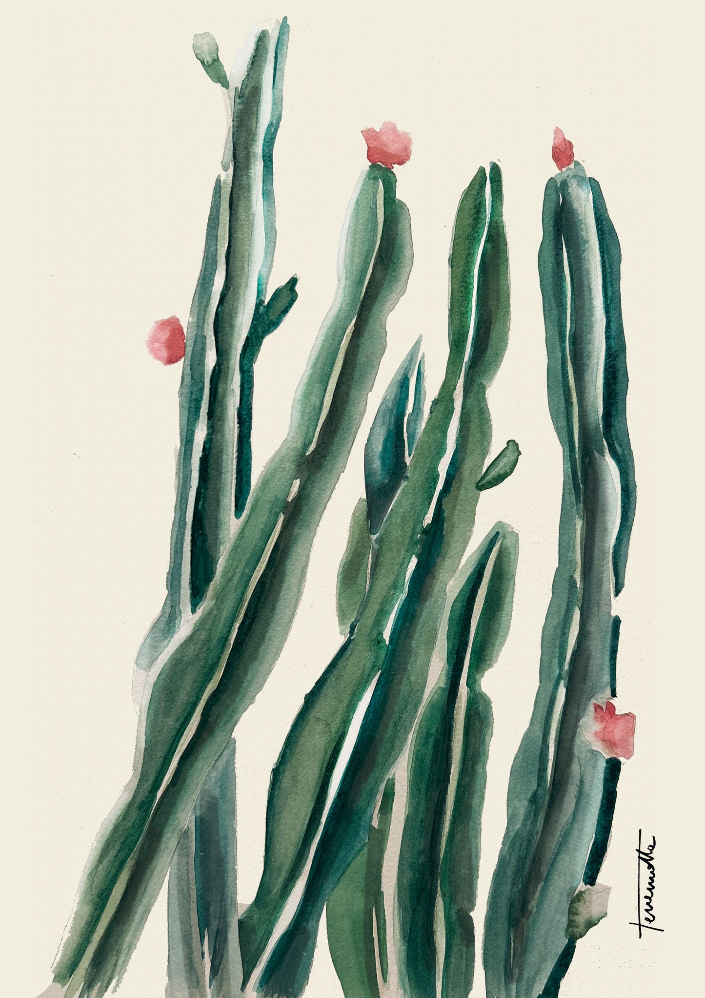 Lámina Cactus Chilayo