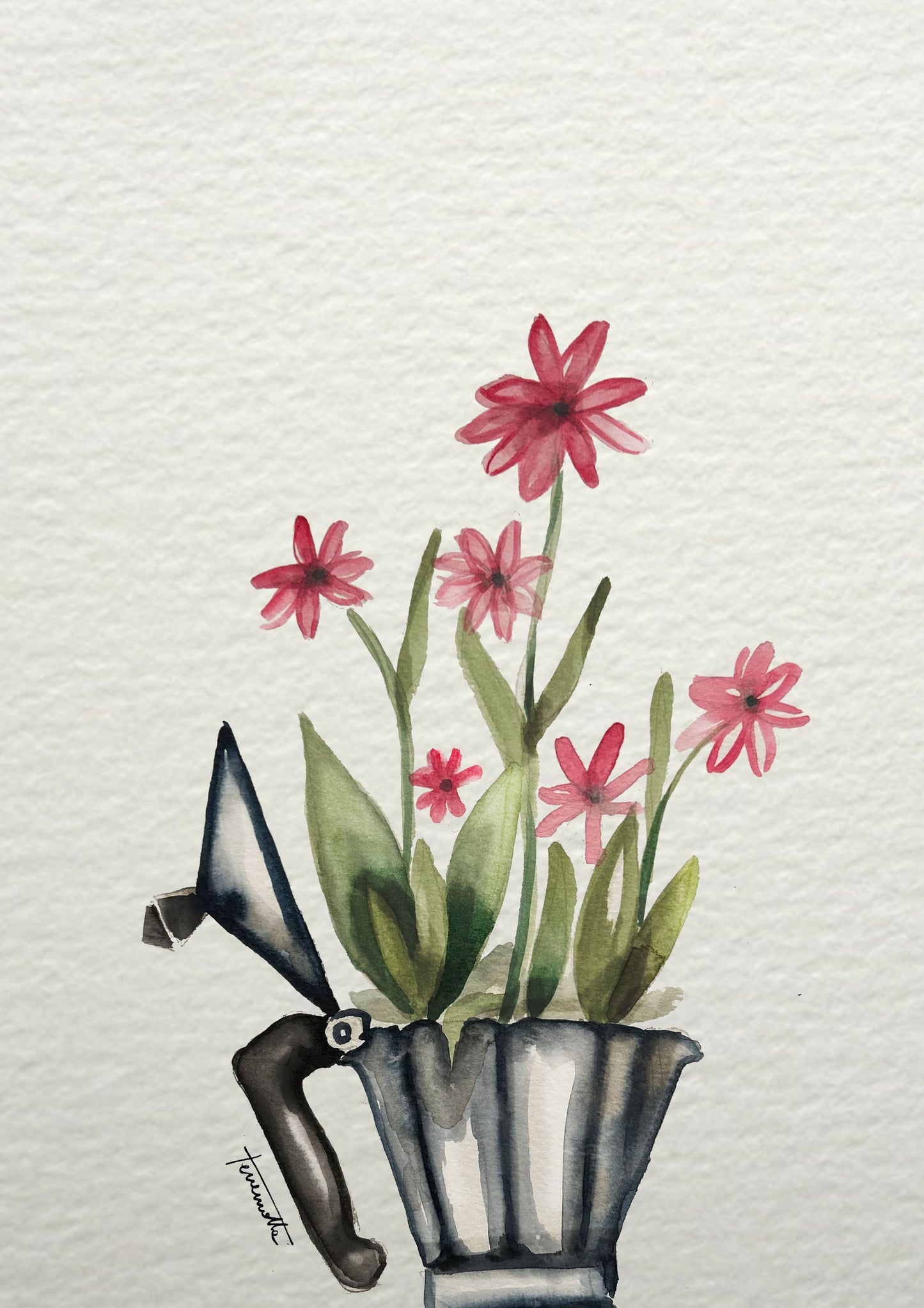 Lámina Flores y Cafetera