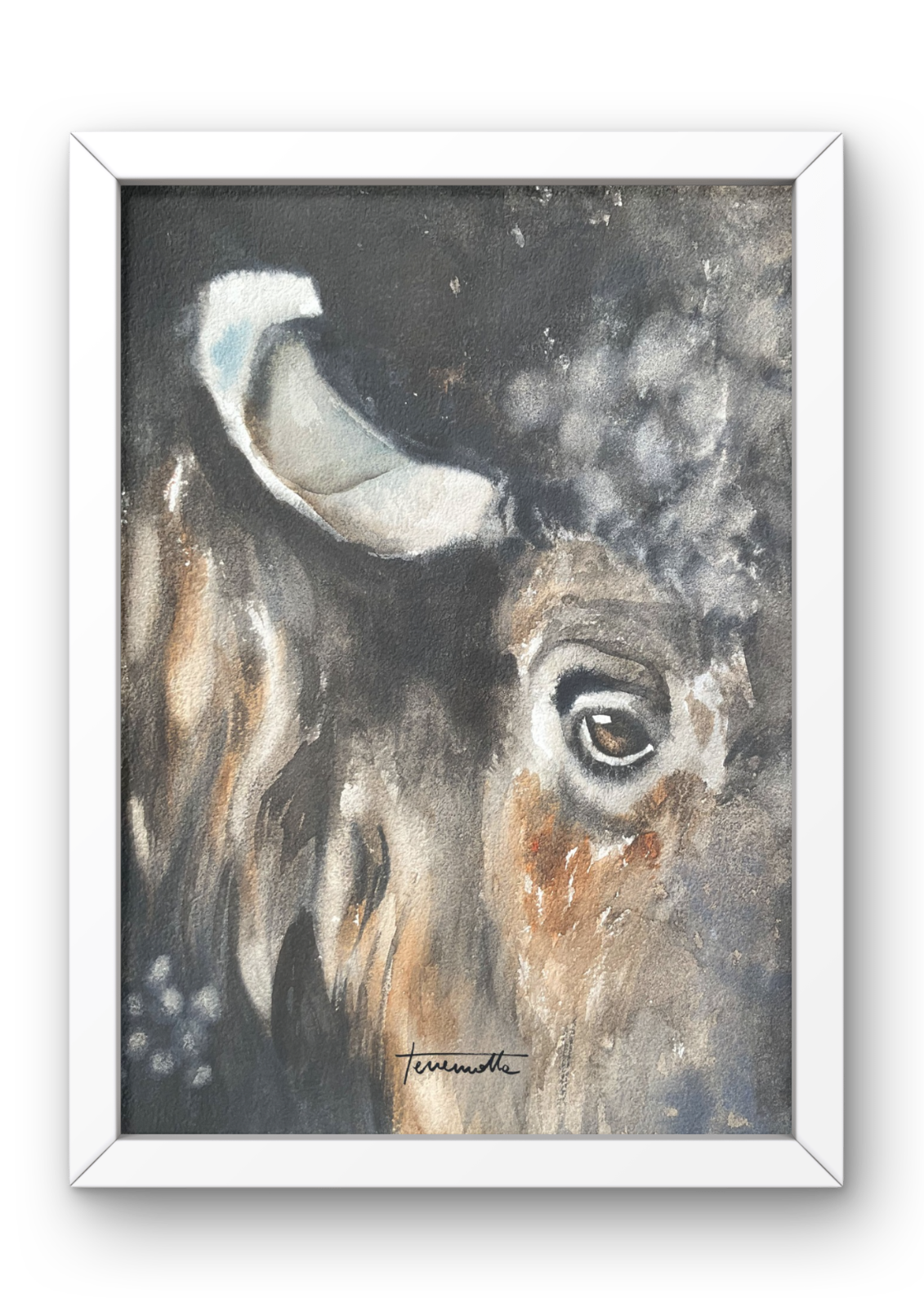 Lámina Mirada de Bisonte