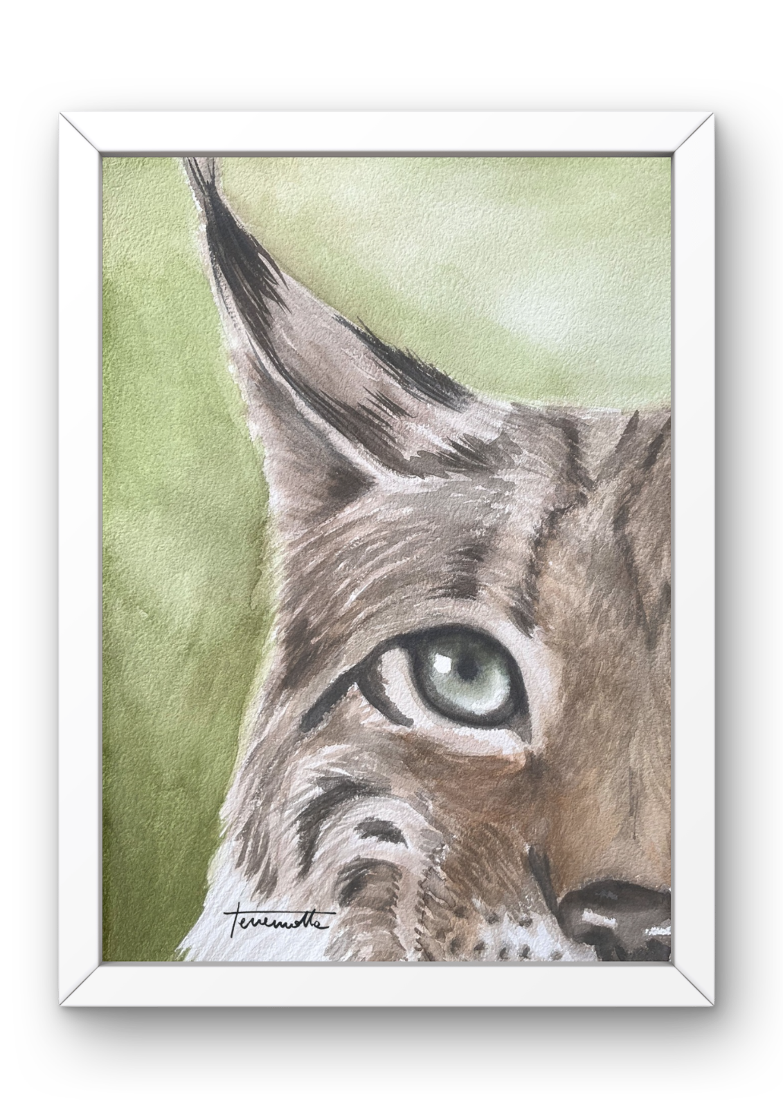 Lámina Mirada de Lince