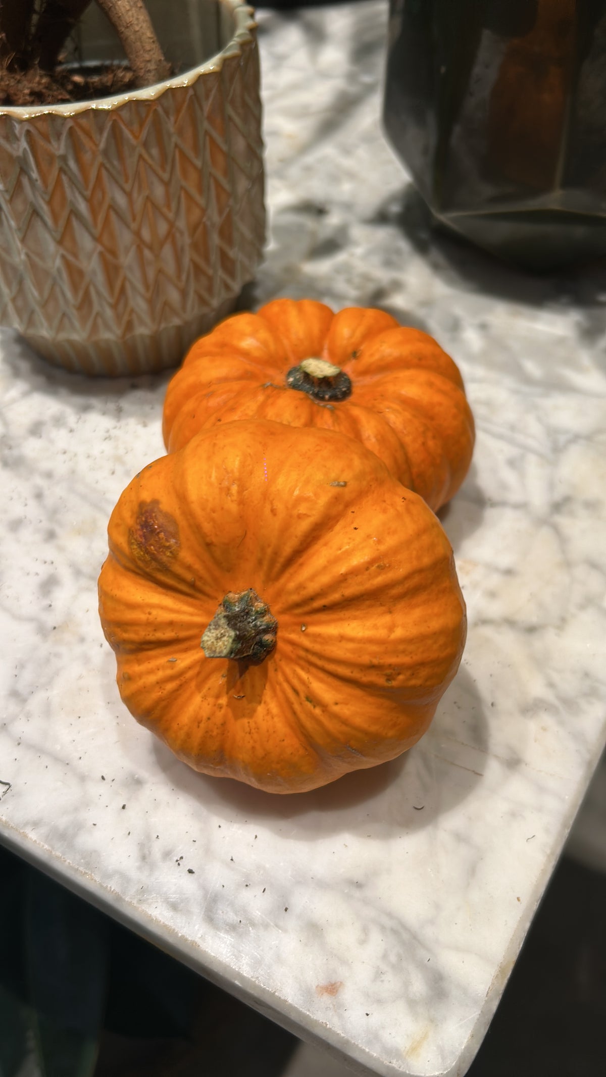Taller de Calabazas