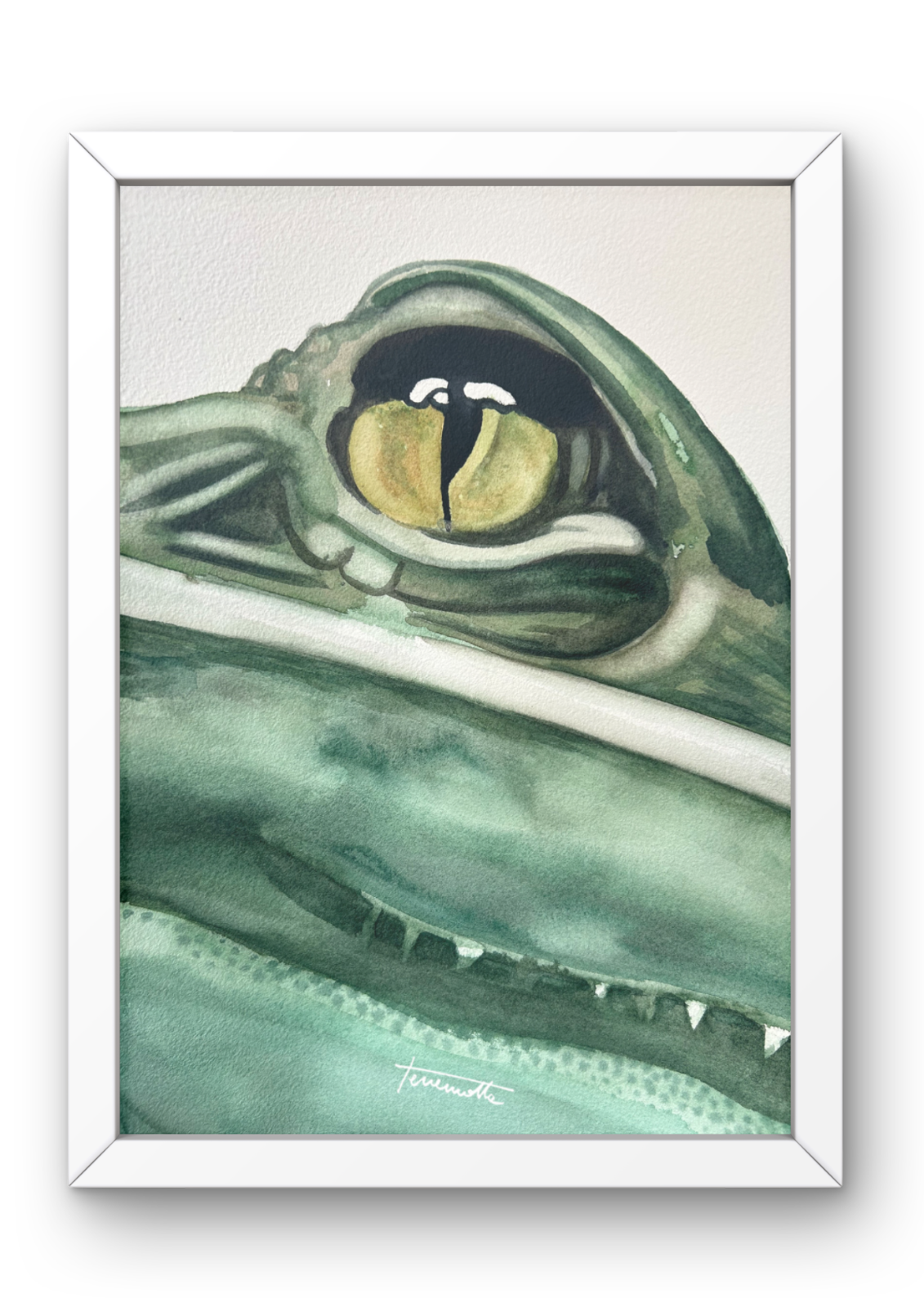 Lámina Mirada de Cocodrilo