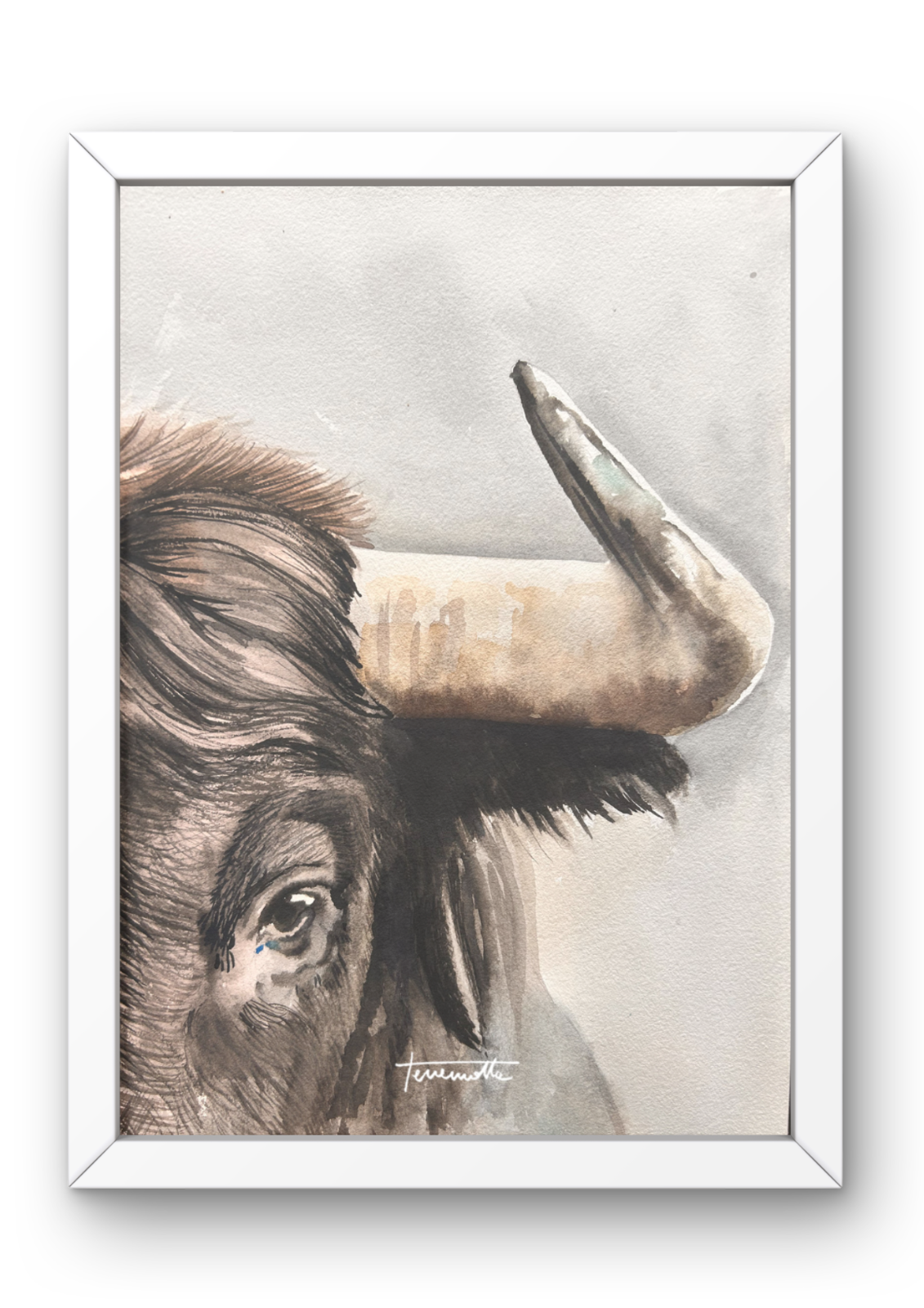 Lámina Mirada de Toro