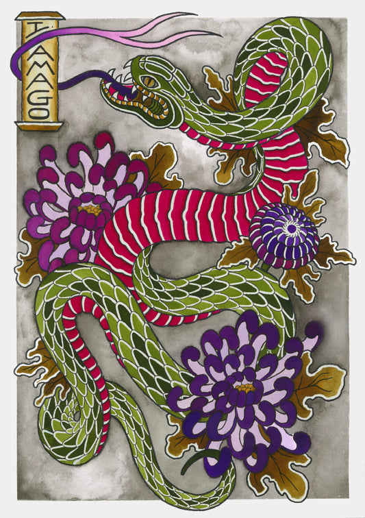 Lámina Dragón Coral