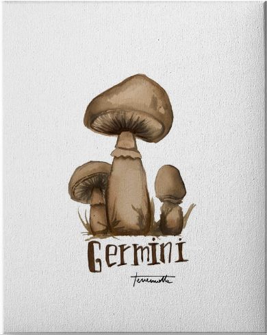 Lámina Germini