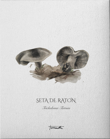 Lámina de Set de Ratón