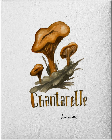 Lámina Chantarelle