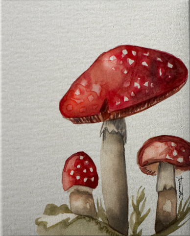 Lámina Gran Amanita