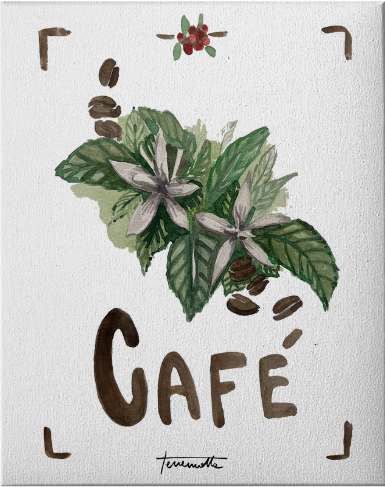 Lámina Café