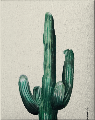 Lámina Cactus Candelabro