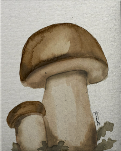 Lámina Gran Boletus