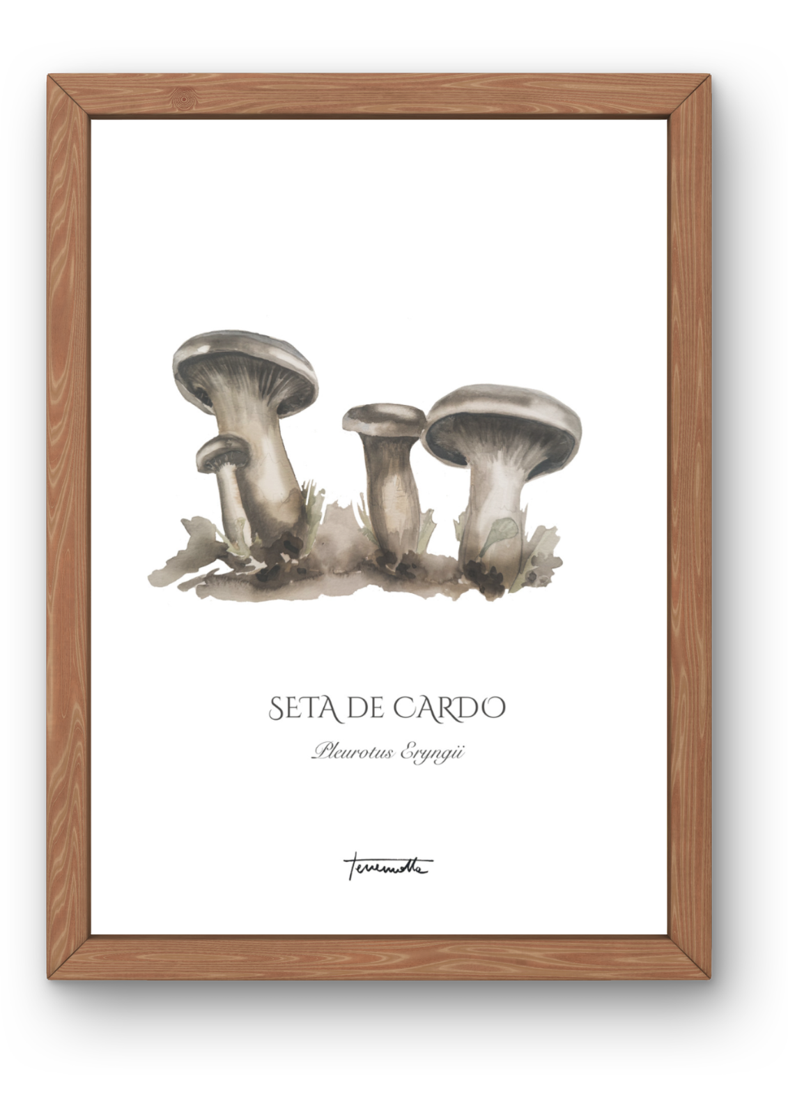 Lámina de Setas de Cardo