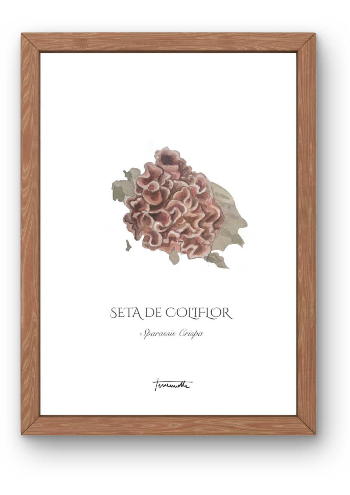 Lámina de Setas de Coliflor