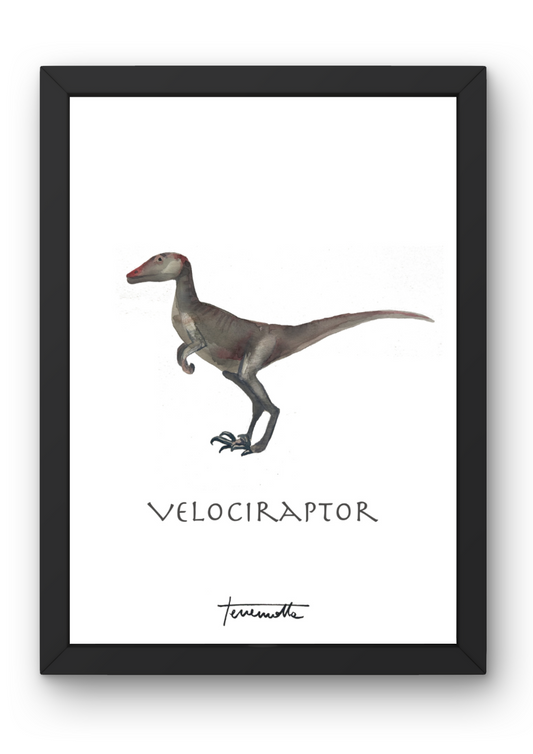 Lámina infantil Velociraptor