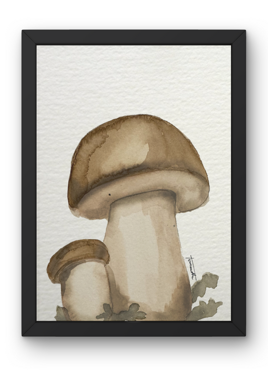 Lámina Gran Boletus