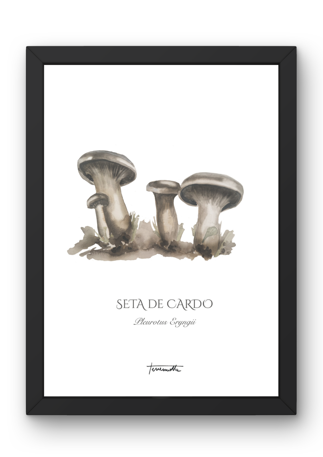 Lámina de Setas de Cardo