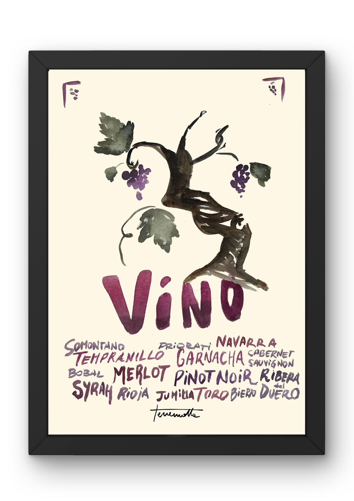Lámina Cepa de Vino