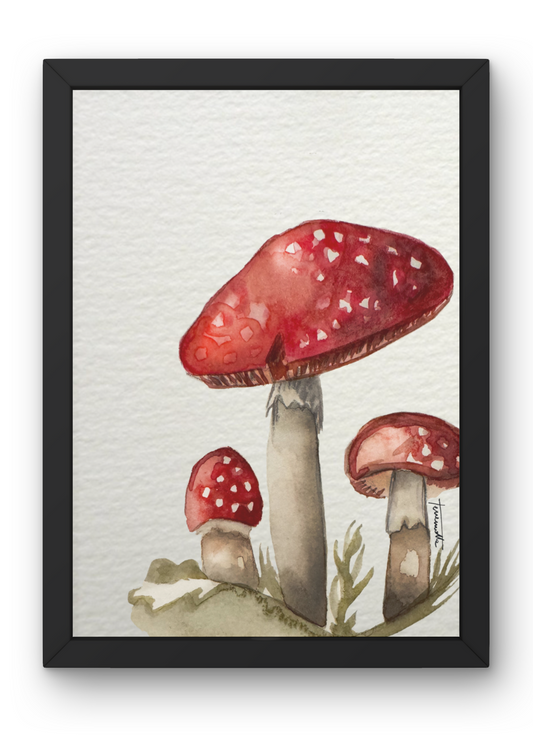 Lámina Gran Amanita