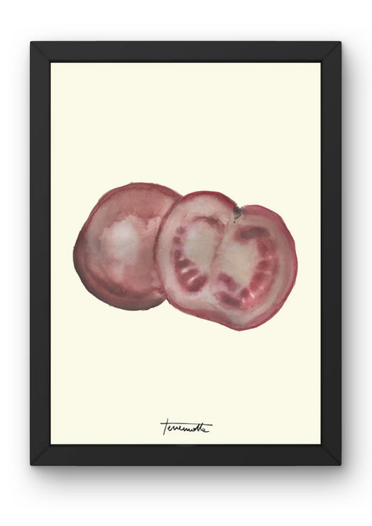Lámina de Tomate