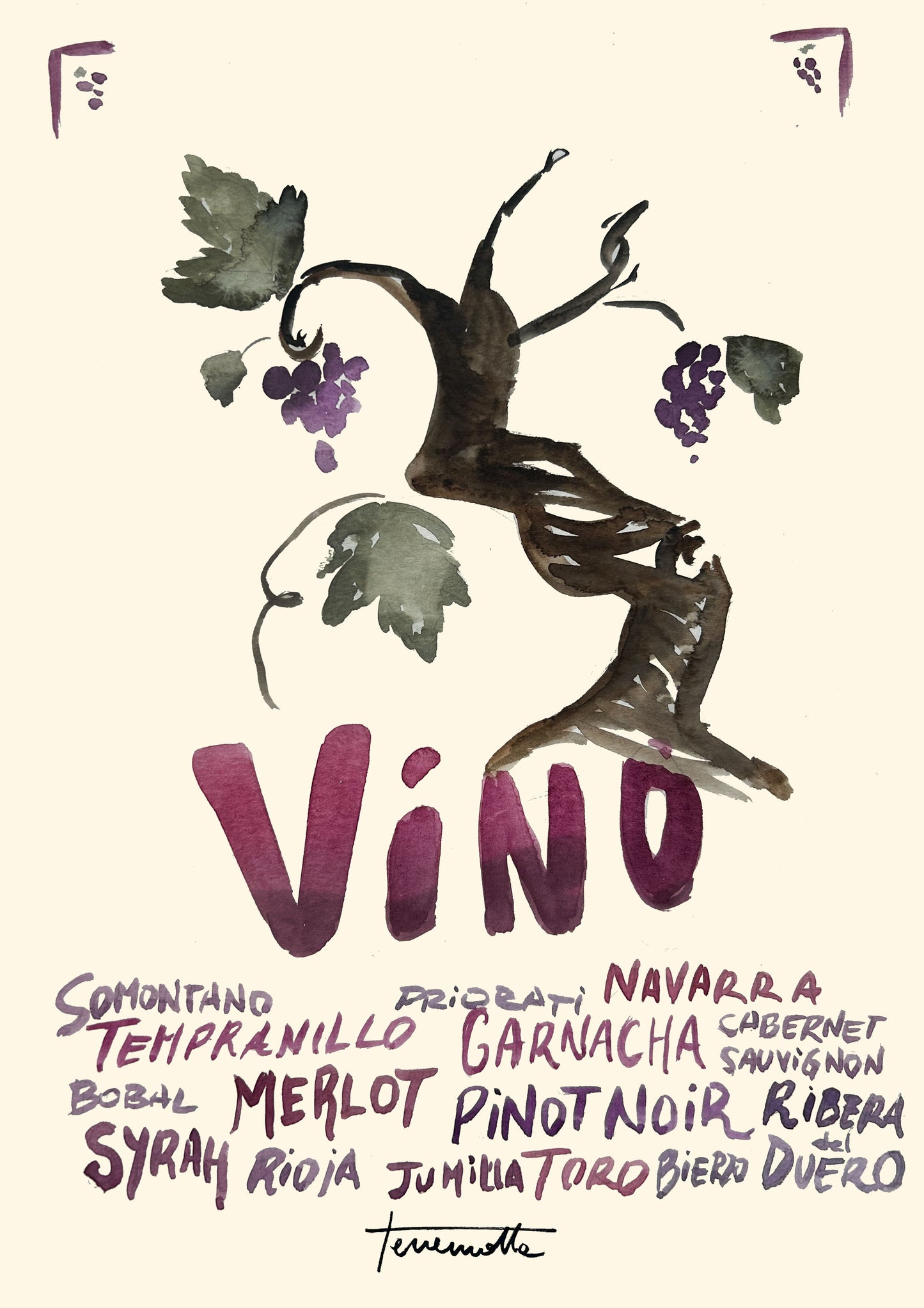 Lámina Cepa de Vino