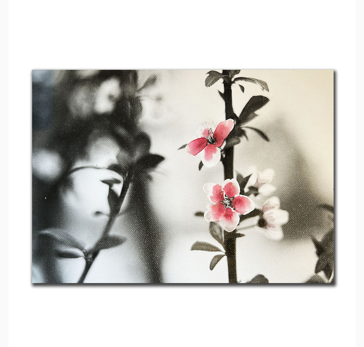 Lámina Flor de Cerezo
