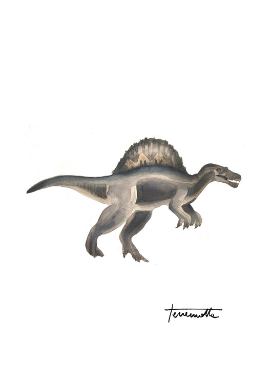 Lámina infantil Spinosaurus