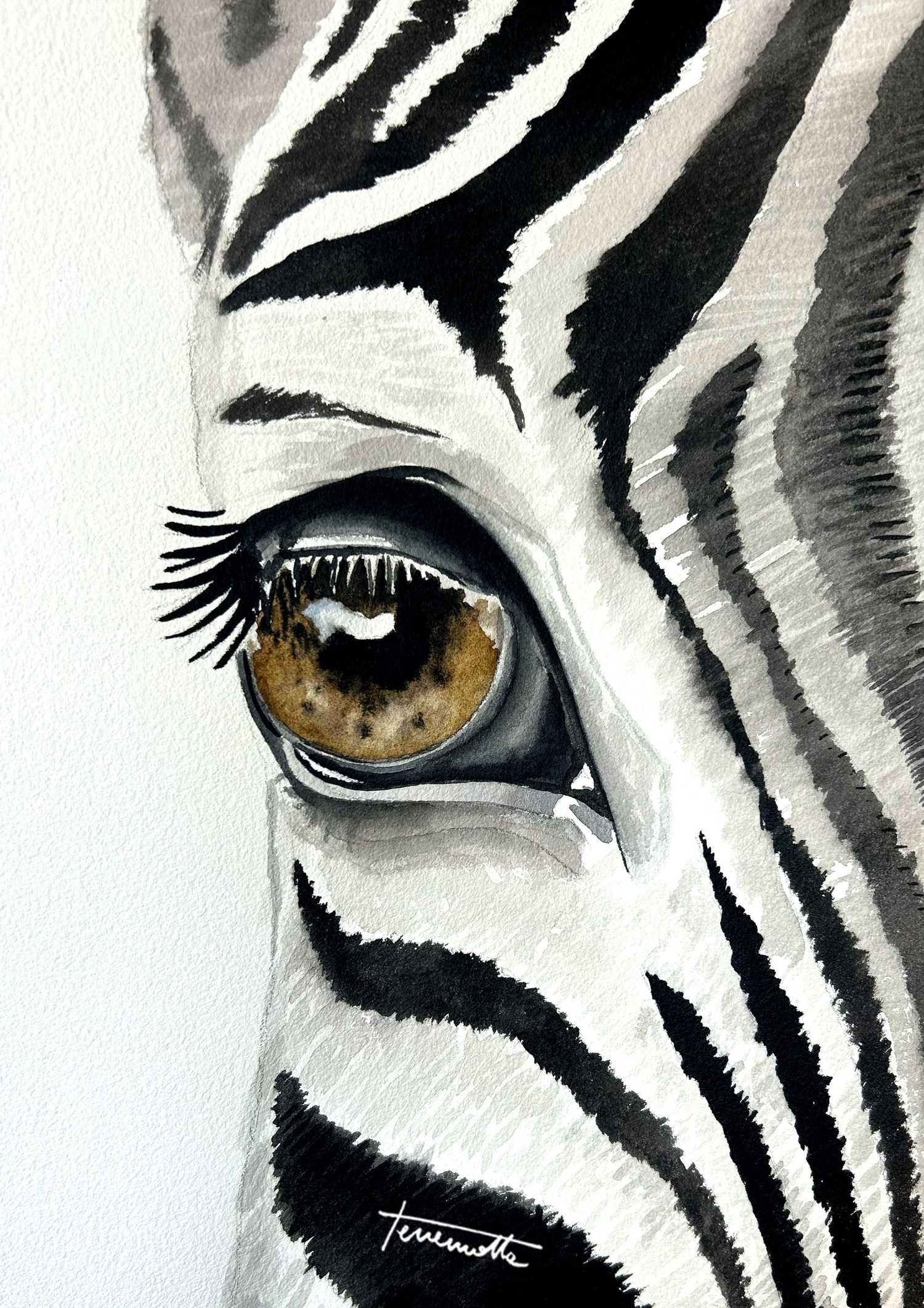 Animales