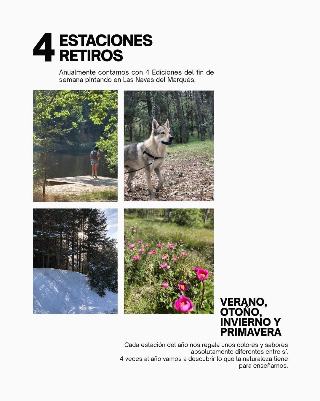 Taller de Acuarela Las Navas del Marqués