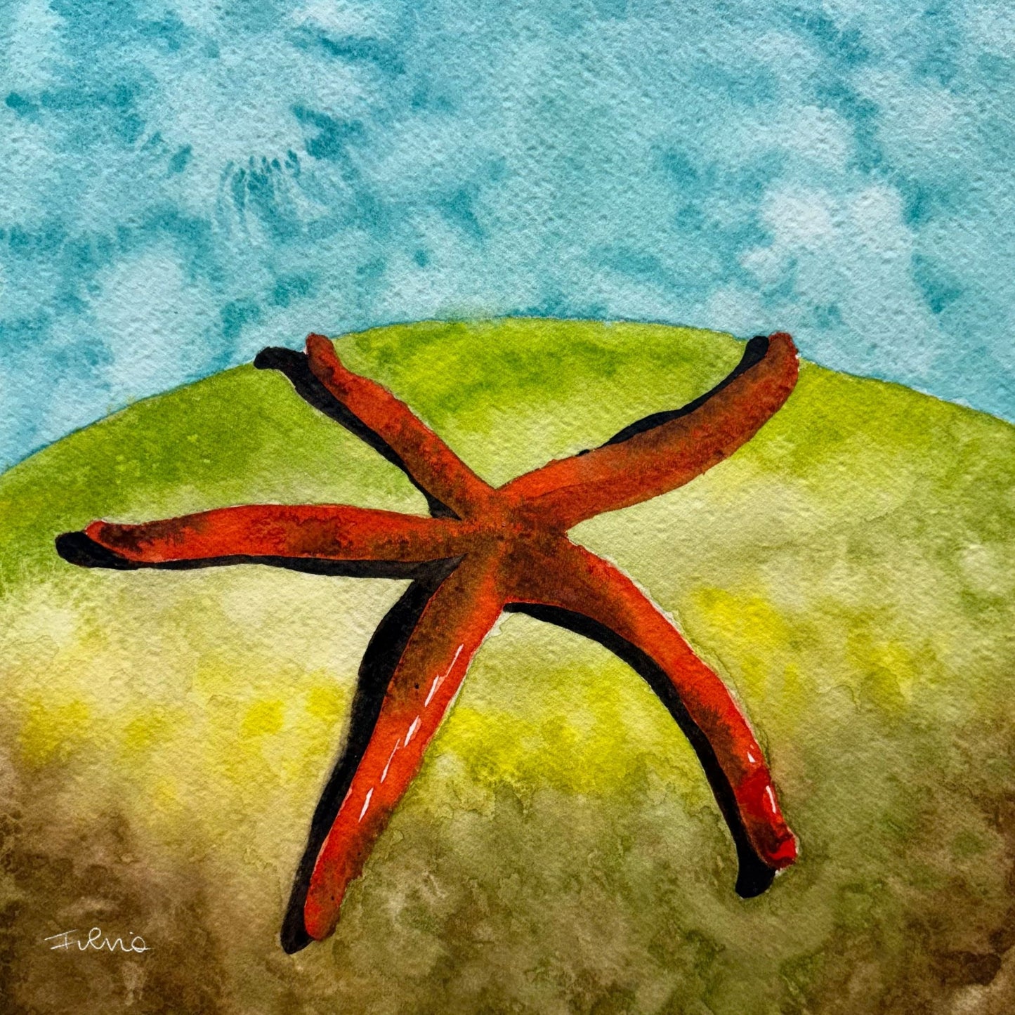 Stella di Mare