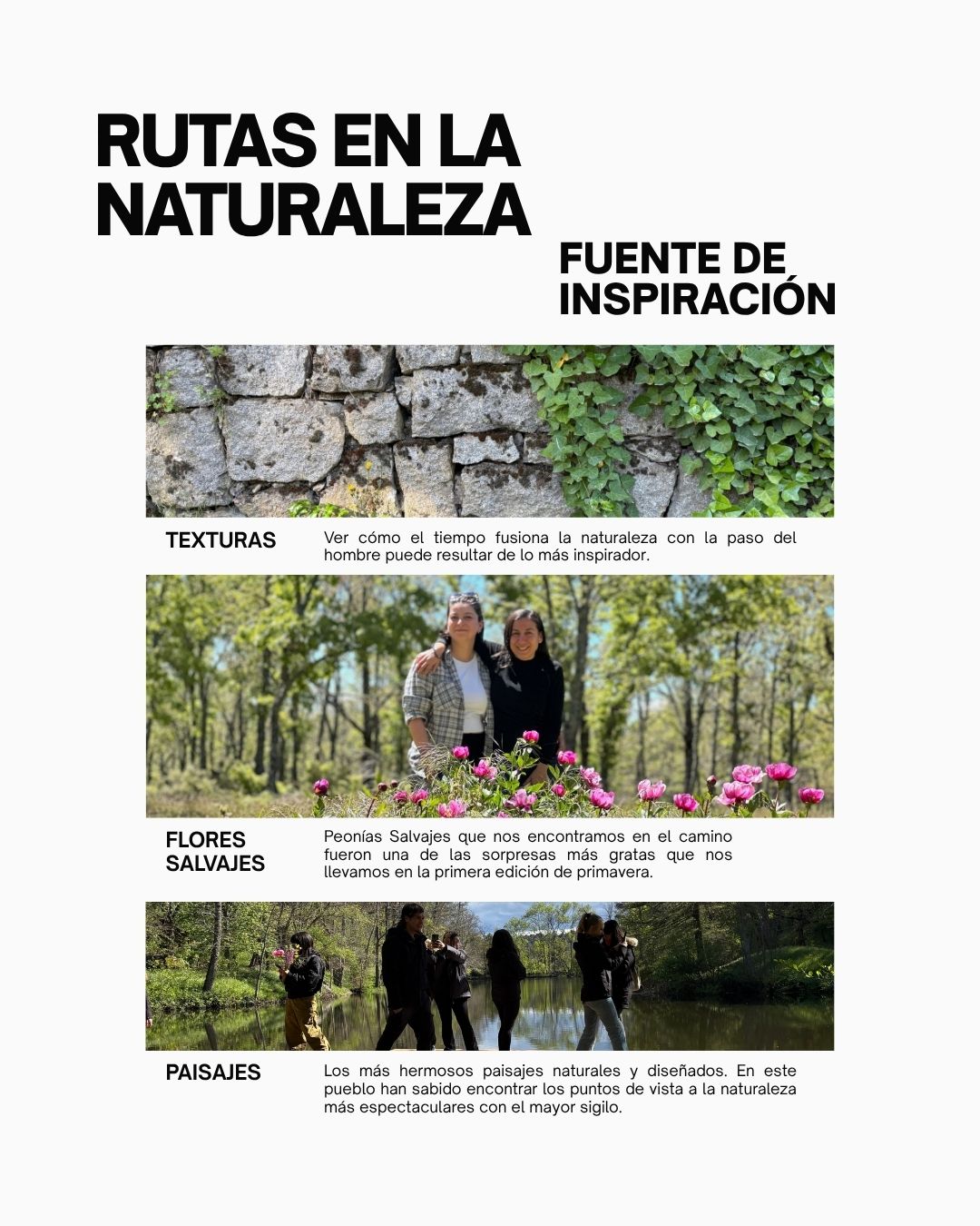 Taller de Acuarela Las Navas del Marqués