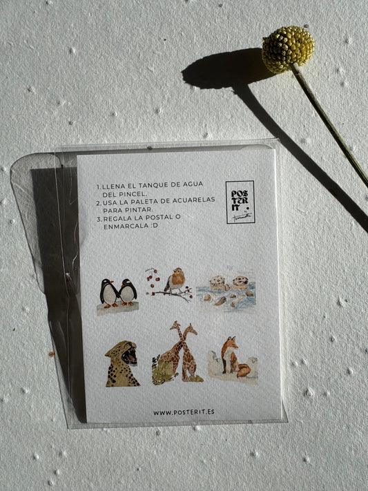 Kit de POSTALES DE ANIMALES para que pintes tú. (copia)