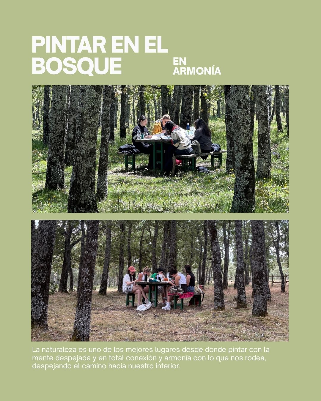 Taller de Acuarela Las Navas del Marqués