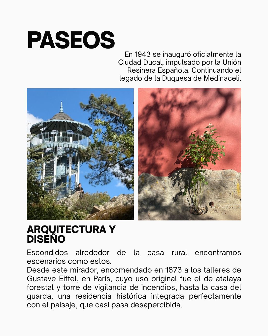 Taller de Acuarela Las Navas del Marqués