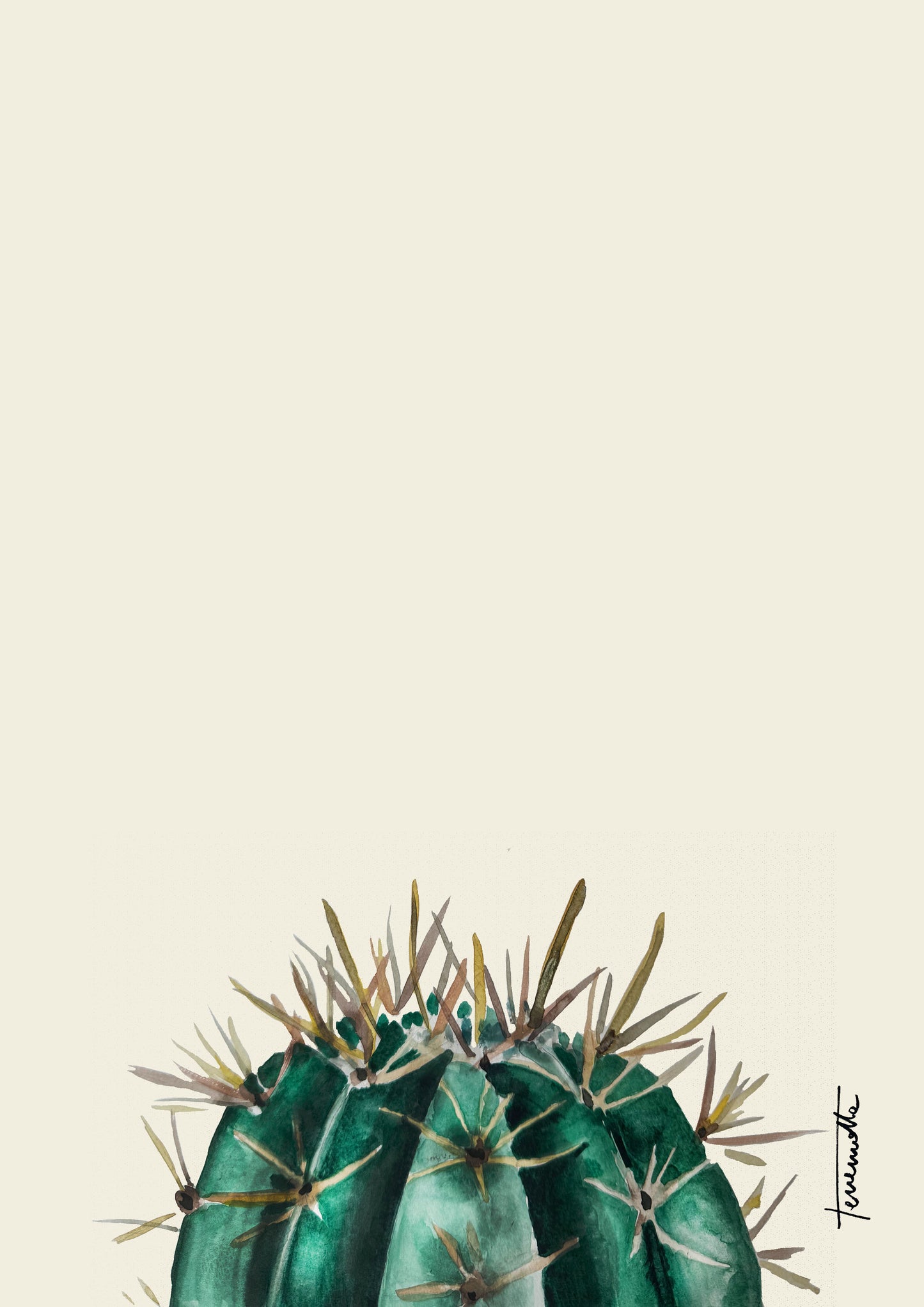 Lámina Echinocactus