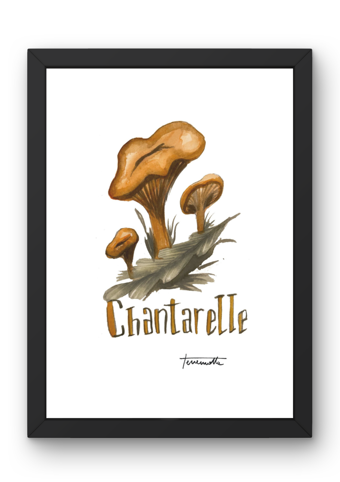Lámina Chantarelle