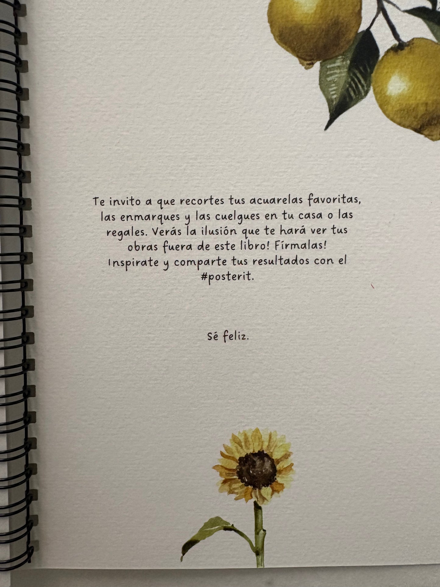 No leas este libro, píntalo!