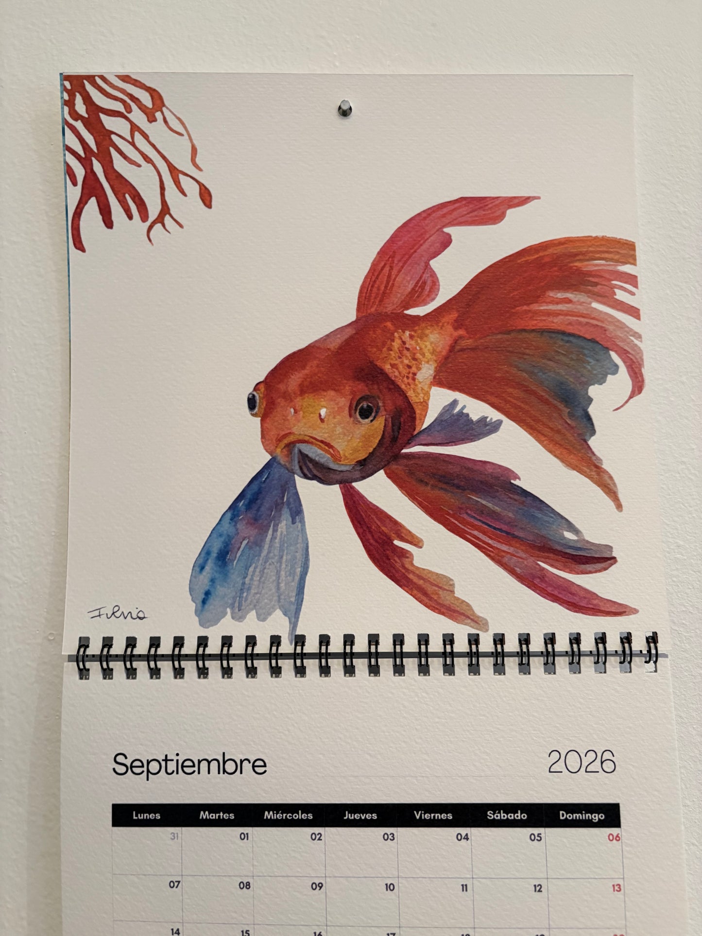 Calendario 2026 by Fulvia Teano