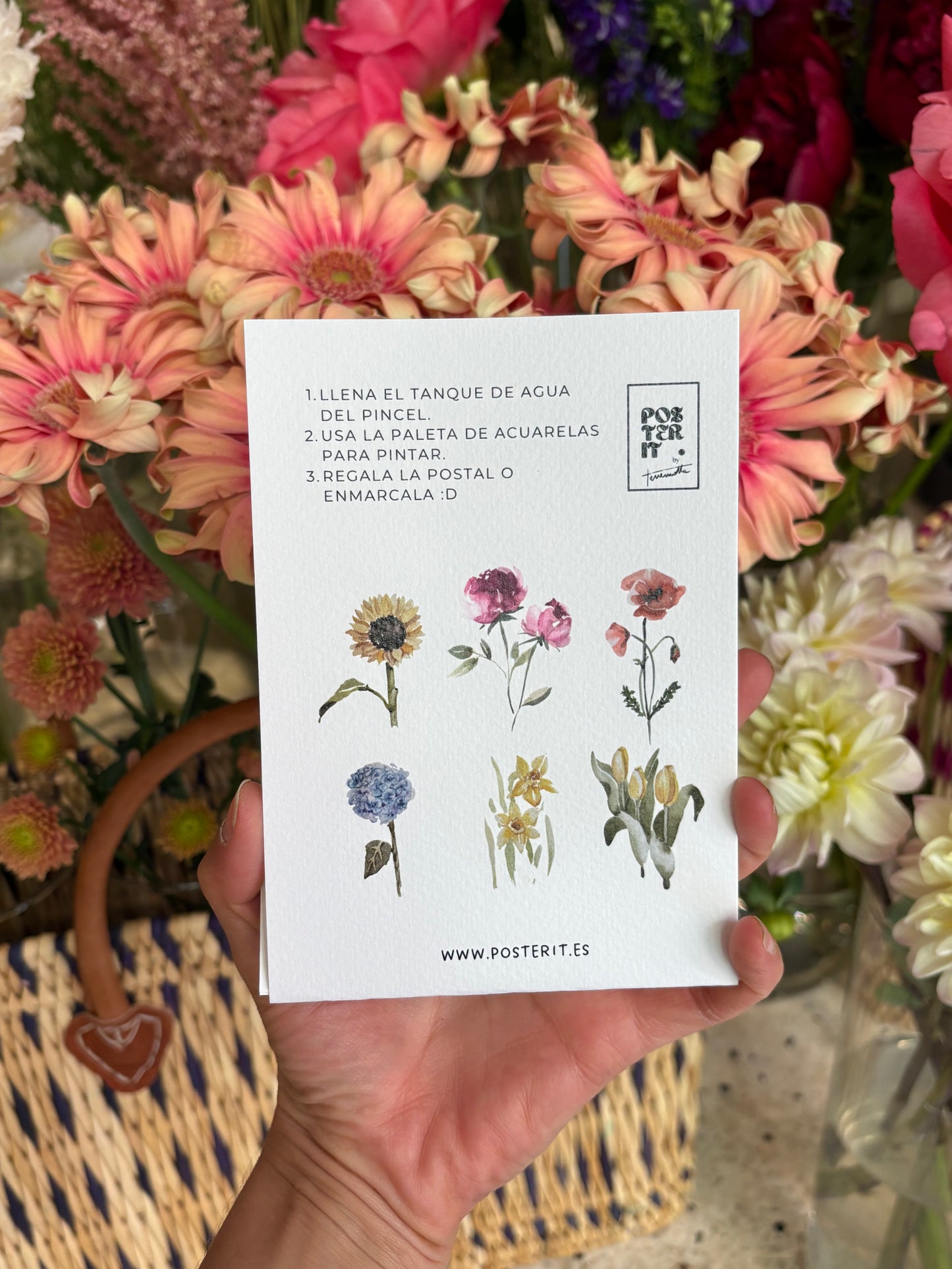 Kit de POSTALES DE FLORES para que pintes tú.