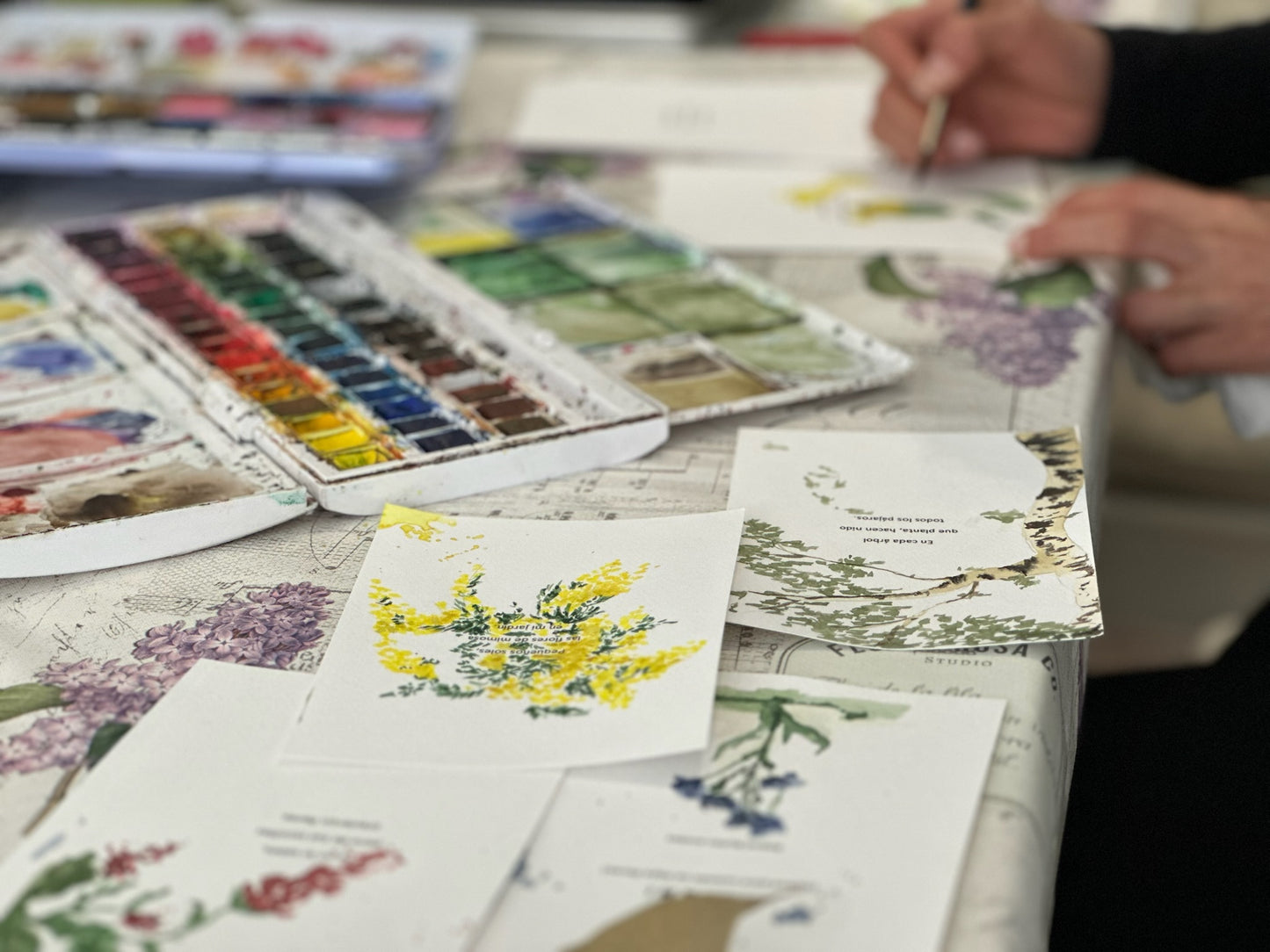 Retiro de Acuarela (SEGUNDA EDICION)