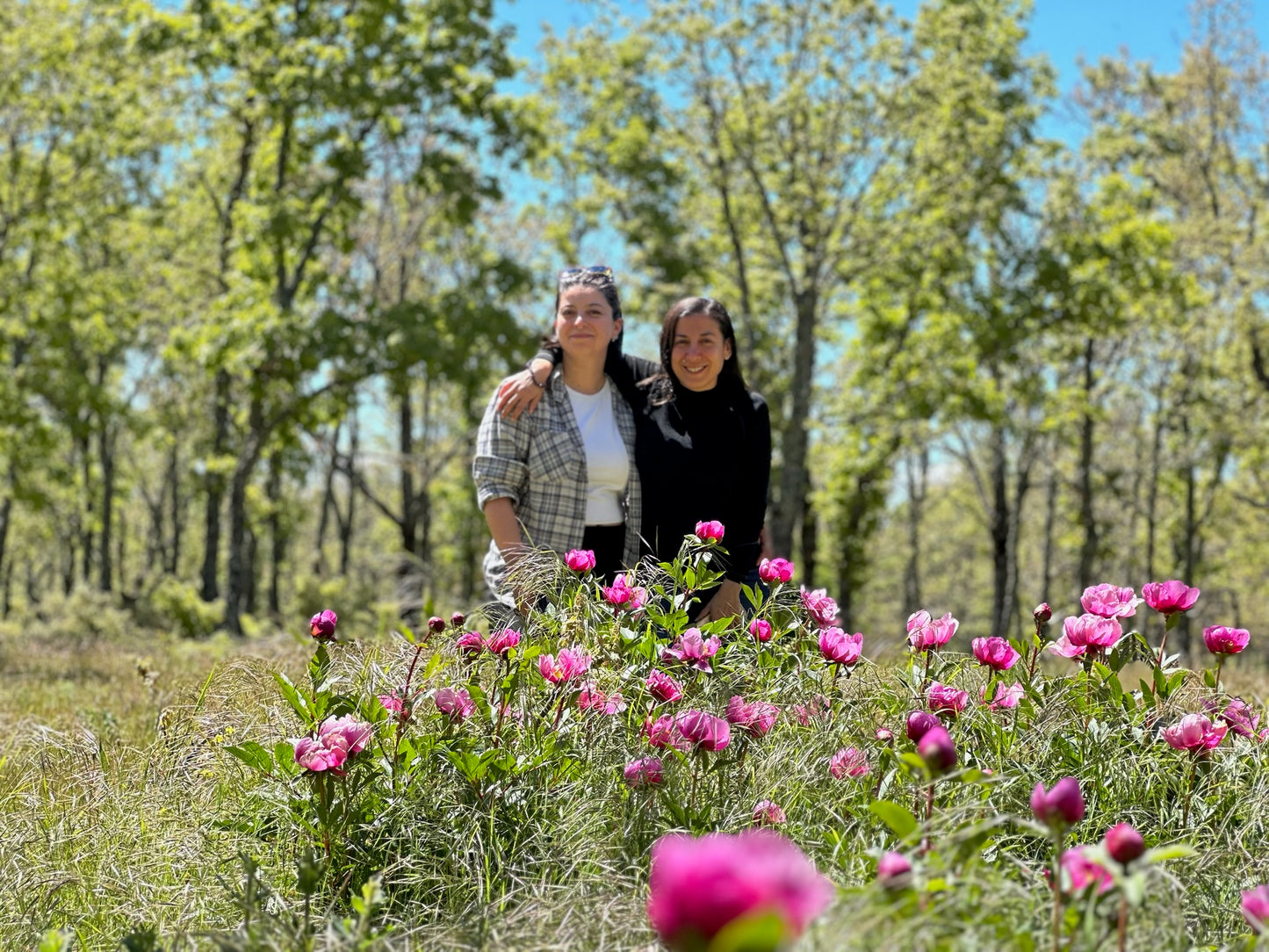 Retiro de Acuarela (SEGUNDA EDICION)