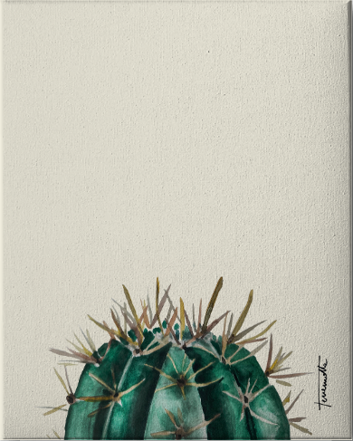 Lámina Echinocactus