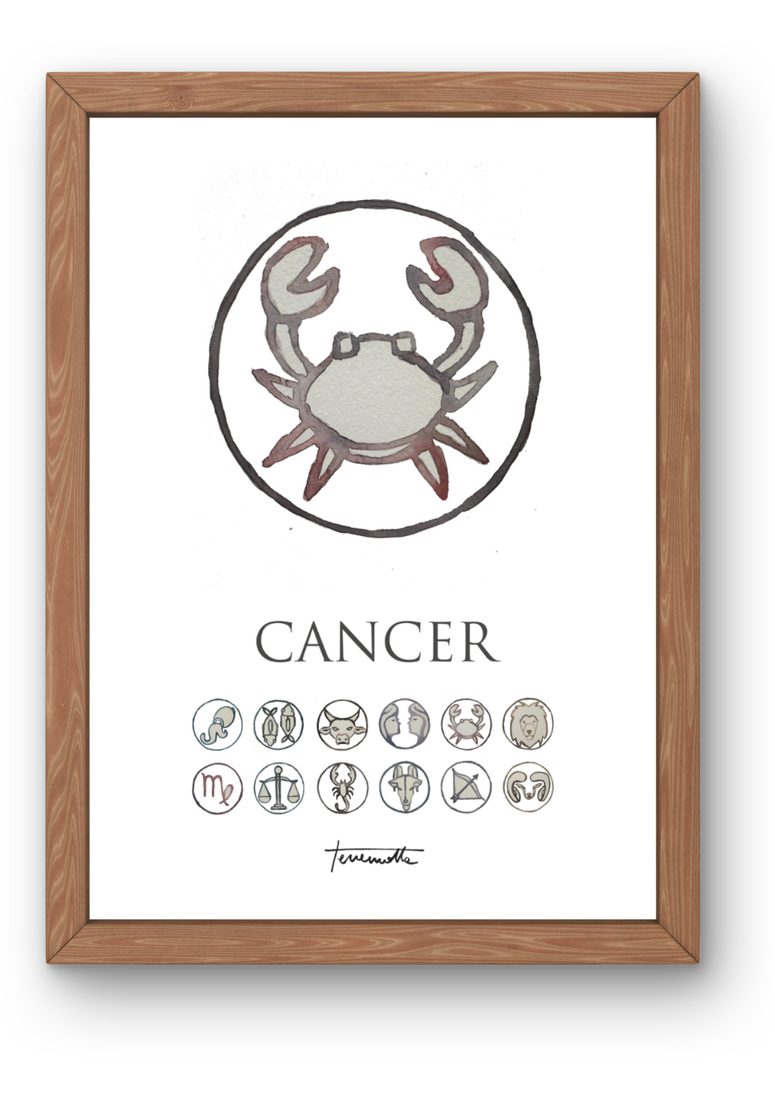 Lámina Cáncer