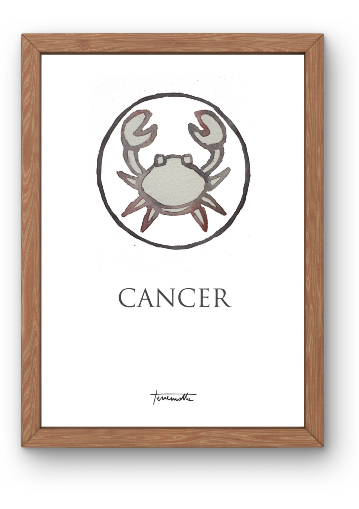 Lámina Cáncer