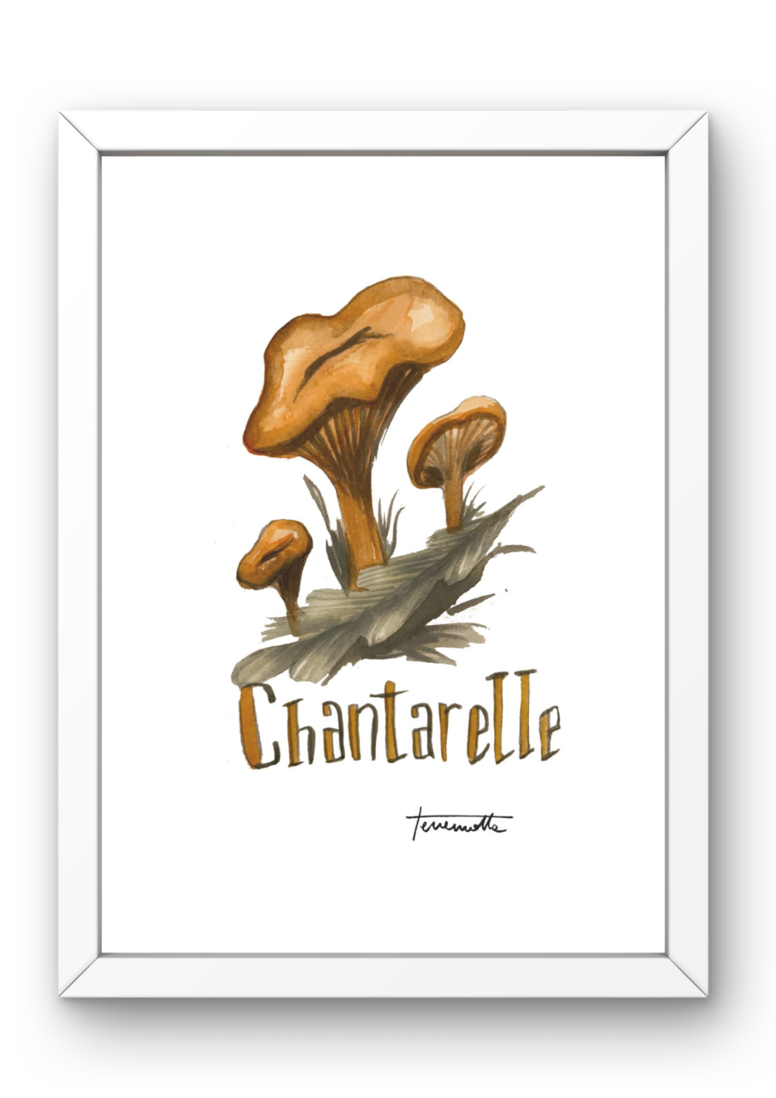 Lámina Chantarelle